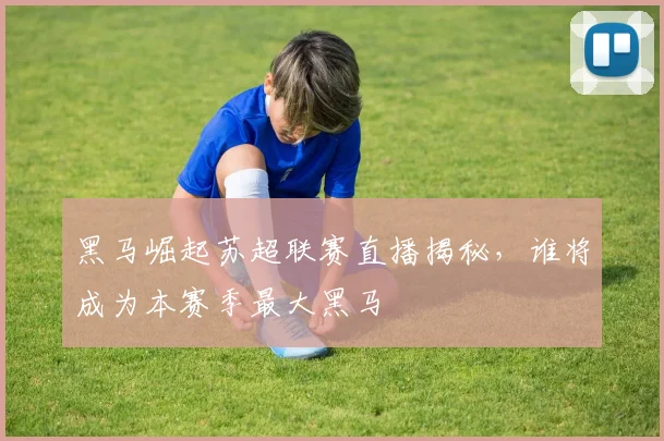黑马崛起苏超联赛直播揭秘，谁将成为本赛季最大黑马