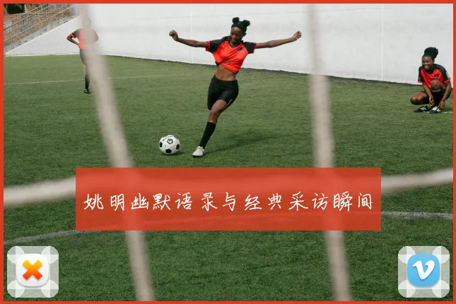 姚明幽默语录与经典采访瞬间