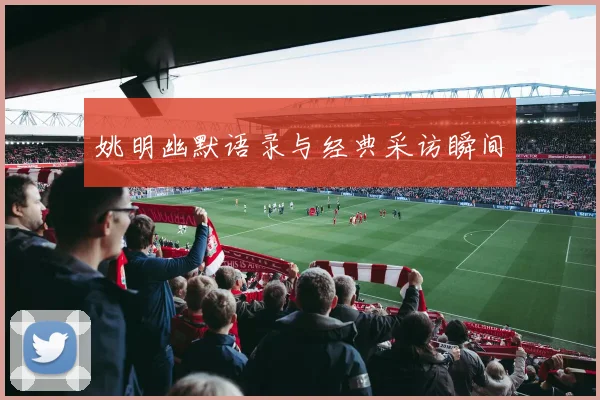 姚明幽默语录与经典采访瞬间